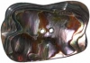Natural Abalone 2-Hole Free Form Rectangle 2"