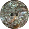 Abalone Shell 2 hole button