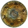 Iridescent Gold Glass Button w/ Pinwheel Design