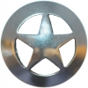 Silver Sheriff Badge Button 1"